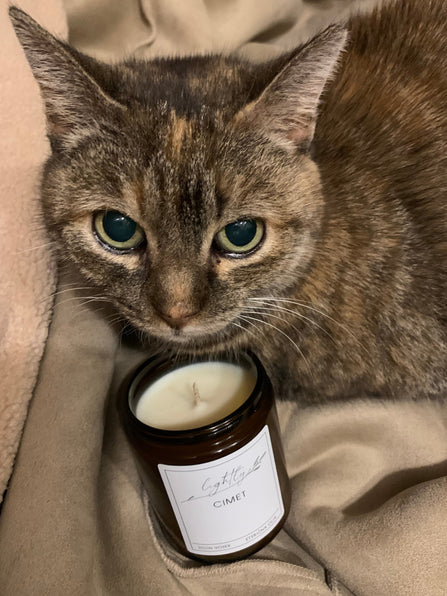 AMBER KOZARČEK S POKROVČKOM